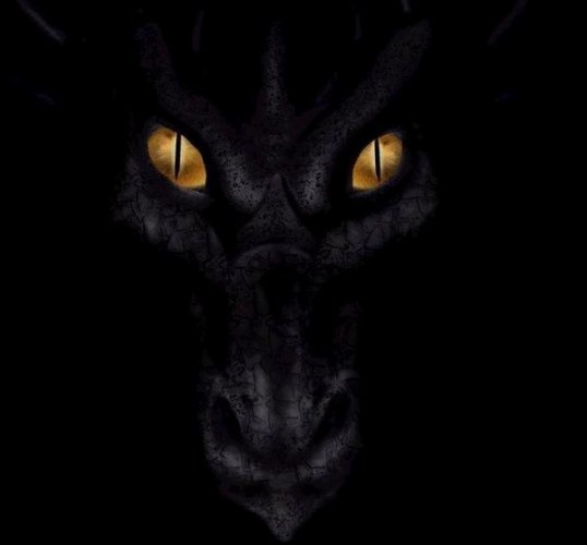 dragon-noir-252297482e.jpg